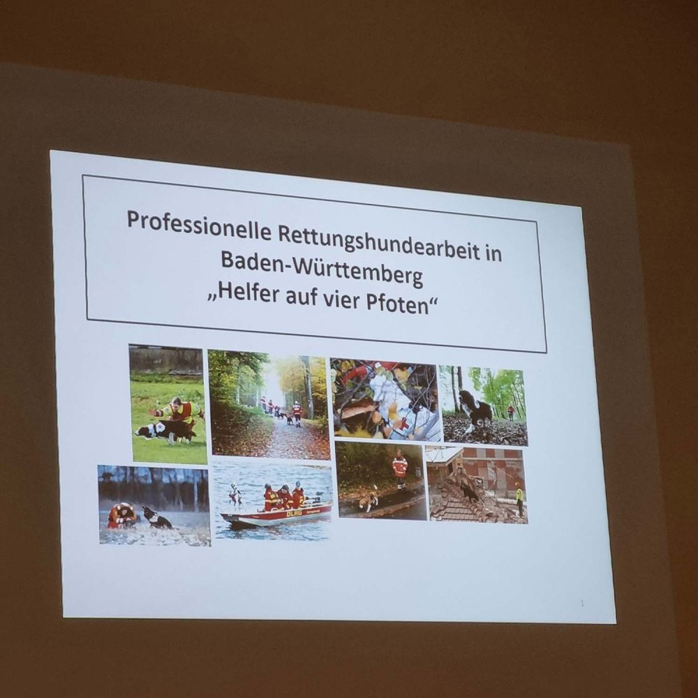 Präsentation zu der RHS